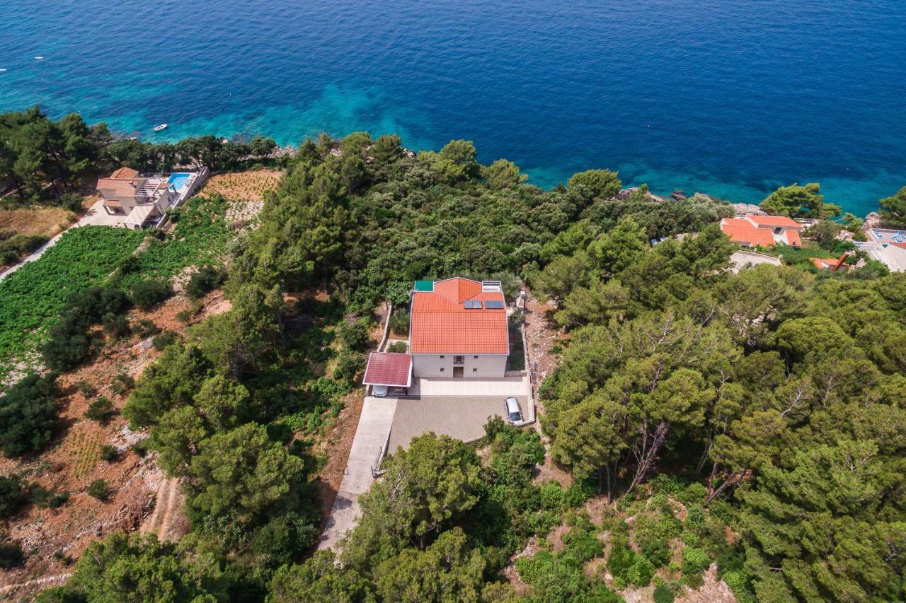 Villa Gloria Potomje 外观 照片